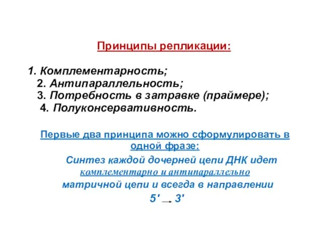 Принципы репликации: Комплементарность; 2. Антипараллельность; 3. Потребность в затравке (праймере); 4.