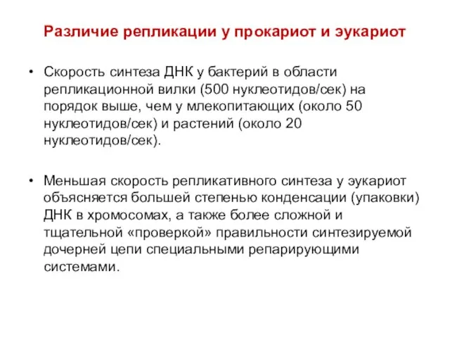 Различие репликации у прокариот и эукариот Скорость синтеза ДНК у бактерий