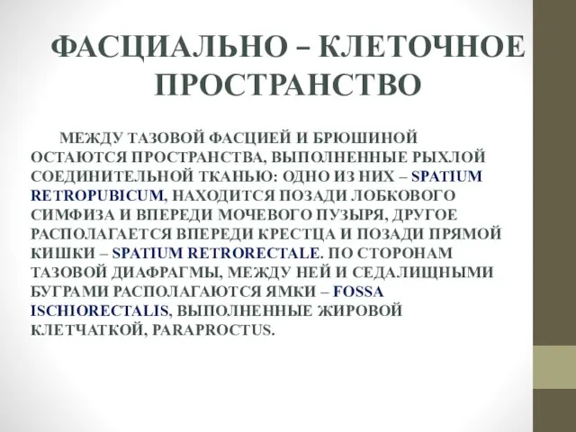 ФАСЦИАЛЬНО – КЛЕТОЧНОЕ ПРОСТРАНСТВО МЕЖДУ ТАЗОВОЙ ФАСЦИЕЙ И БРЮШИНОЙ ОСТАЮТСЯ ПРОСТРАНСТВА,