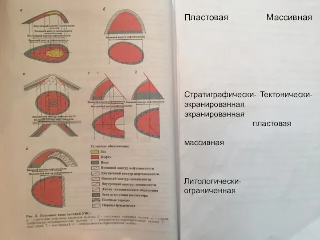 Месторождения могут быть однозалежными и многозалежными Пластовая Массивная Стратиграфически- Тектонически- экранированная экранированная пластовая массивная Литологически- ограниченная