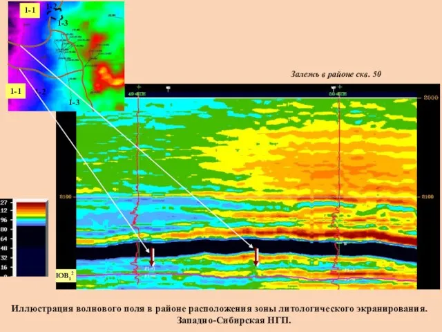 1-1 1-1 1-2 1-2 1-3 1-3 Залежь в районе скв. 50