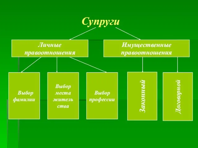 Супруги Личные правоотношения Имущественные правоотношения Выбор фамилии Выбор места житель ства Выбор профессии Законный Договорной