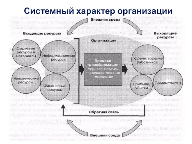 Системный характер организации Системный характер организации