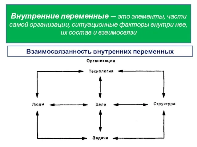 Внутренние переменные — это элементы, части самой организации, ситуационные факторы внутри