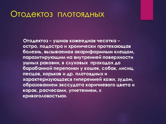 Отодектоз плотоядных Отодектоз – ушная кожеедная чесотка – остро, подостро и