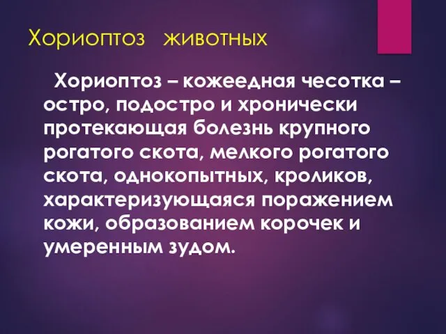 Хориоптоз животных Хориоптоз – кожеедная чесотка – остро, подостро и хронически