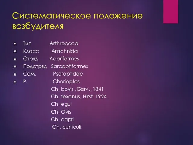 Систематическое положение возбудителя Тип Arthropoda Класс Arachnida Отряд Acariformes Подотряд Sarcoptiformes