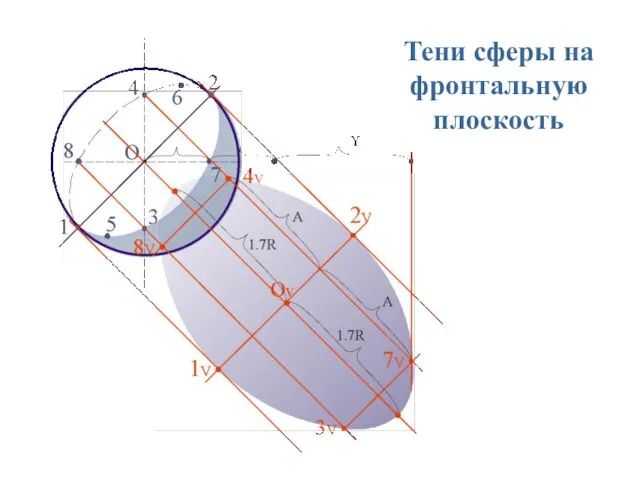 Тени сферы на фронтальную плоскость