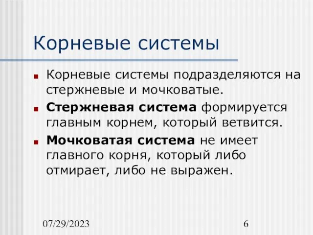 07/29/2023 Корневые системы Корневые системы подразделяются на стержневые и мочковатые. Стержневая