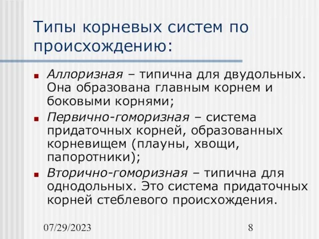 07/29/2023 Типы корневых систем по происхождению: Аллоризная – типична для двудольных.