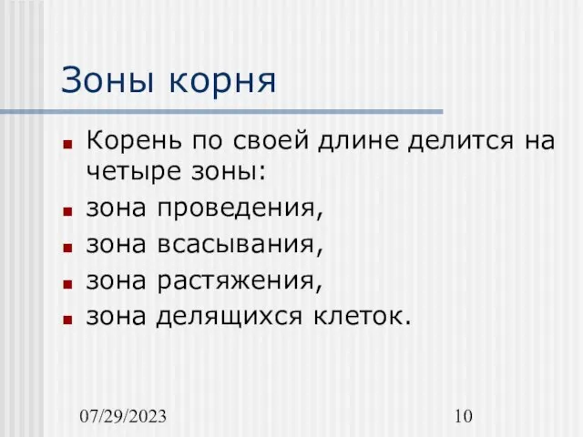 07/29/2023 Зоны корня Корень по своей длине делится на четыре зоны: