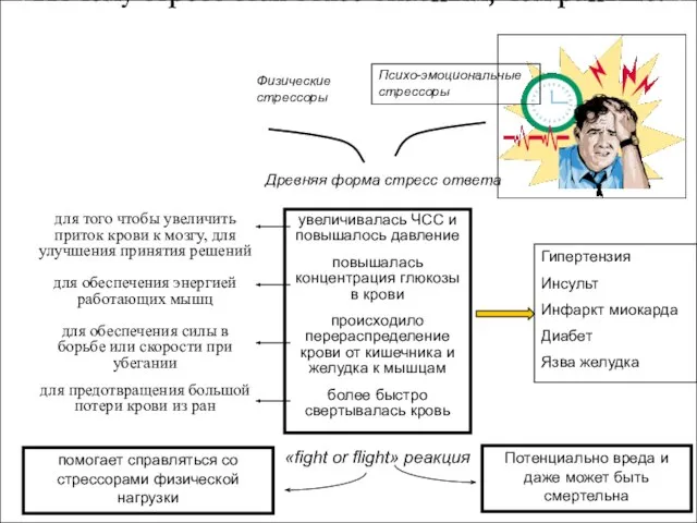 Почему стресс стал более опасным, чем раньше? увеличивалась ЧСС и повышалось