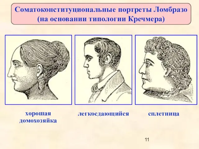 Соматоконституциональные портреты Ломбразо (на основании типологии Кречмера) хорошая домохозяйка легкосдающийся сплетница