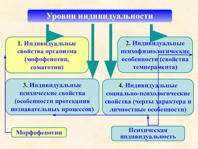 1. Индивидуальные свойства организма (мофофенотип, соматотип) 3. Индивидуальные психические свойства (особенности