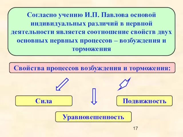 Согласно учению И.П. Павлова основой индивидуальных различий в нервной деятельности является