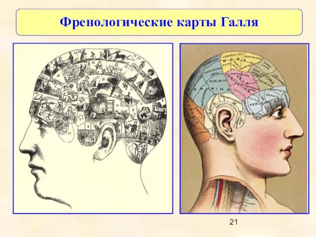 Френологические карты Галля