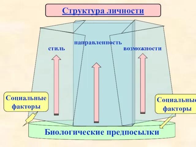 Структура личности Биологические предпосылки стиль возможности направленность Социальные факторы Социальные факторы