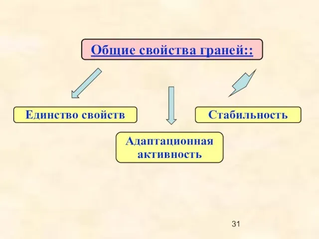 Общие свойства граней:: Единство свойств Стабильность Адаптационная активность