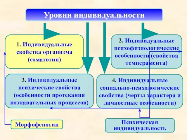 1. Индивидуальные свойства организма (соматотип) 3. Индивидуальные психические свойства (особенности протекания