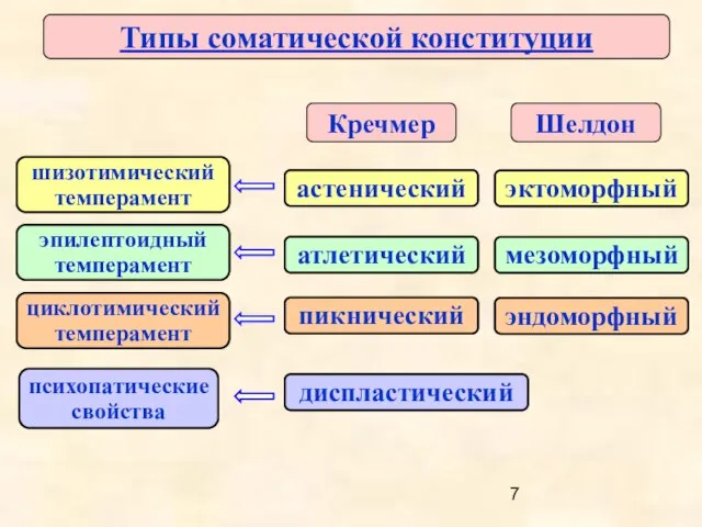 Типы соматической конституции атлетический астенический пикнический мезоморфный эктоморфный эндоморфный Кречмер Шелдон