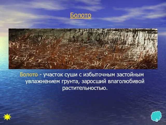 Болото Болото - участок суши с избыточным застойным увлажнением грунта, заросший влаголюбивой растительностью.