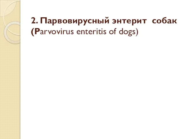 2. Парвовирусный энтерит собак (Parvovirus enteritis of dogs)