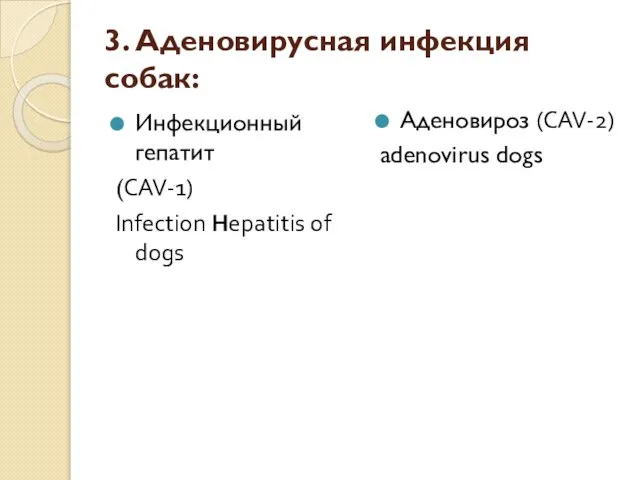 3. Аденовирусная инфекция собак: Инфекционный гепатит (CAV-1) Infection Hepatitis of dogs Аденовироз (CAV-2) adenovirus dogs