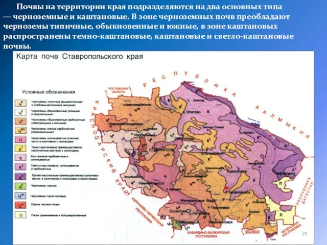 Почвы на территории края подразделяются на два основных типа — черноземные