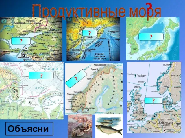 Продуктивные моря ? ? ? ? ? ? ? Объясните