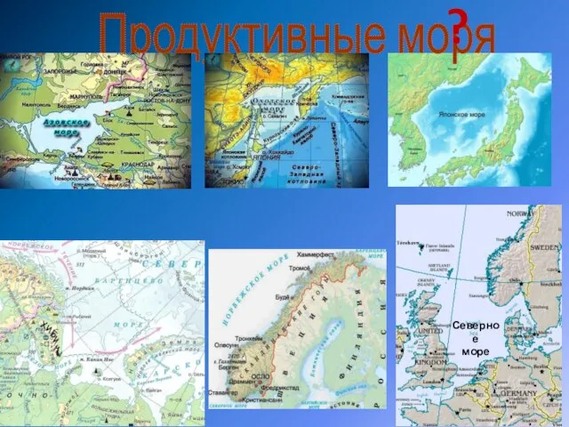 Продуктивные моря ? Северное море