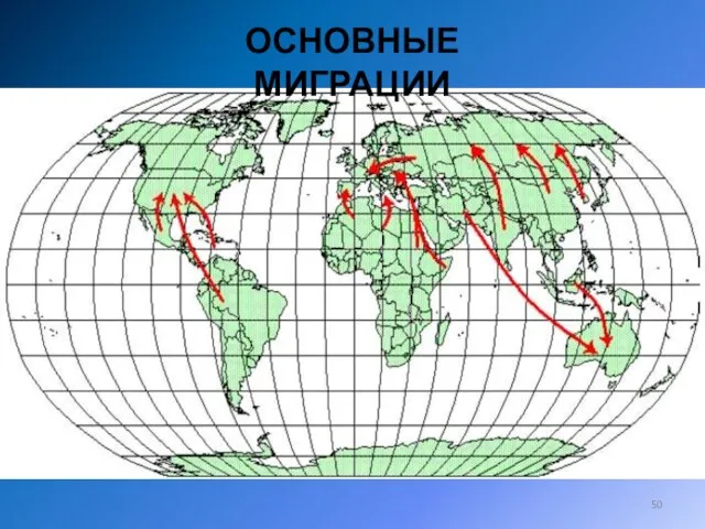 ОСНОВНЫЕ МИГРАЦИИ