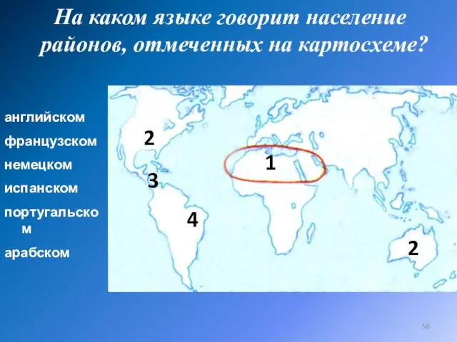 английском французском немецком испанском португальском арабском На каком языке говорит население