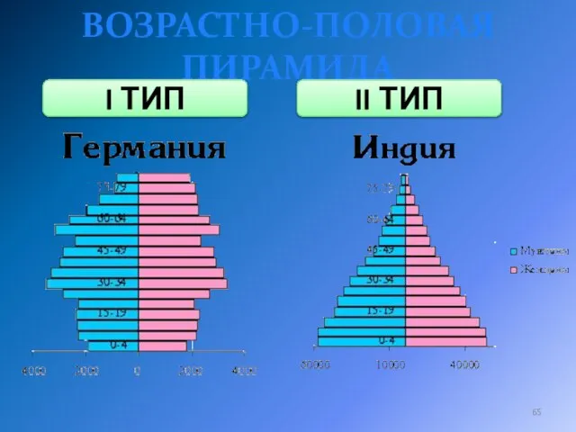 ВОЗРАСТНО-ПОЛОВАЯ ПИРАМИДА I ТИП II ТИП