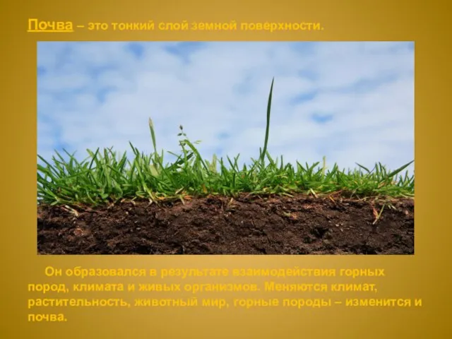 Почва – это тонкий слой земной поверхности. Он образовался в результате