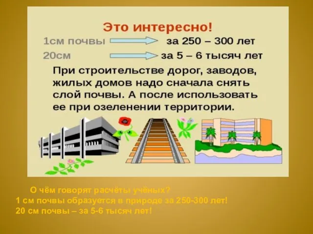 О чём говорят расчёты учёных? 1 см почвы образуется в природе