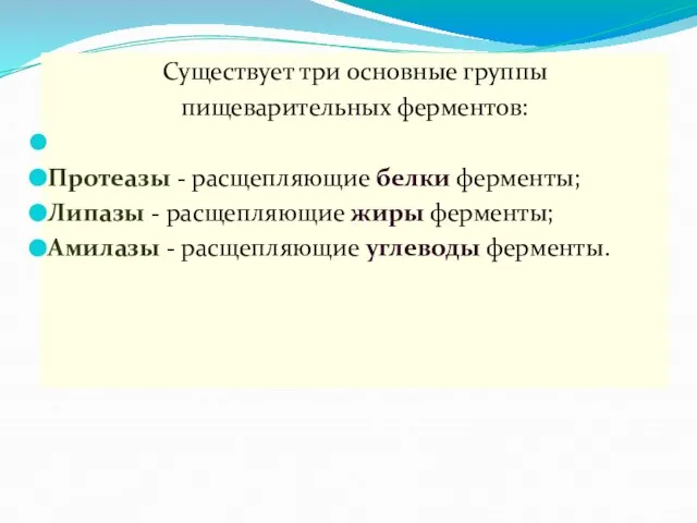 Существует три основные группы пищеварительных ферментов: Протеазы - расщепляющие белки ферменты;