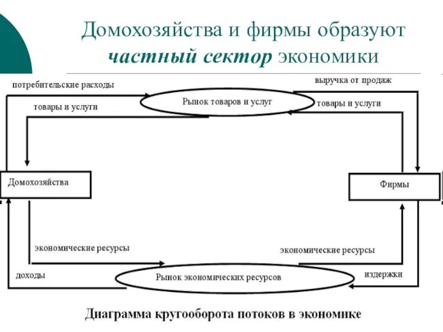 Домохозяйства и фирмы образуют частный сектор экономики