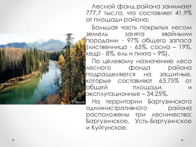 Лесной фонд района занимает 777,7 тыс.га, что составляет 41,9% от площади