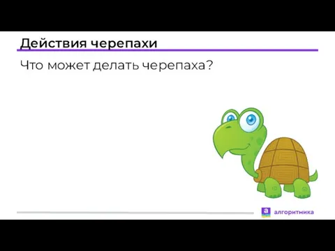 Действия черепахи Что может делать черепаха?