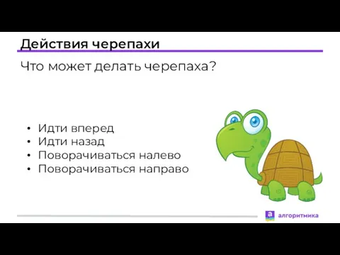 Действия черепахи Что может делать черепаха? Идти вперед Идти назад Поворачиваться налево Поворачиваться направо