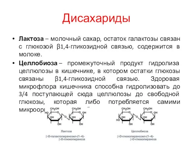 Дисахариды Лактоза – молочный сахар, остаток галактозы связан с глюкозой β1,4-гликозидной