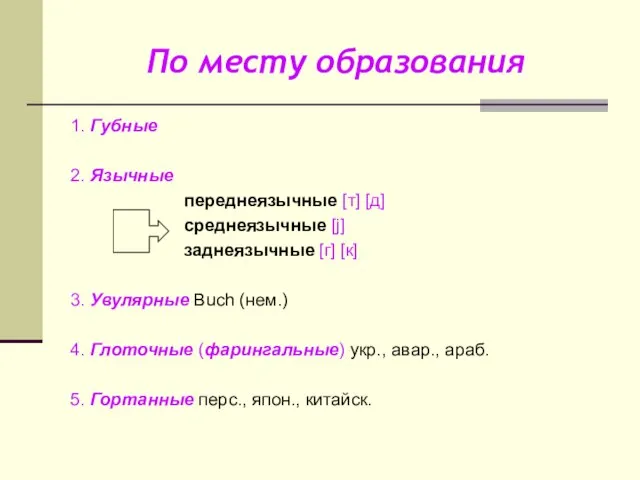 По месту образования 1. Губные 2. Язычные переднеязычные [т] [д] среднеязычные