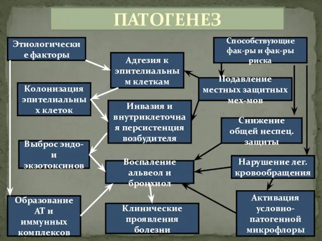 ПАТОГЕНЕЗ Этиологические факторы Выброс эндо- и экзотоксинов Колонизация эпителиальных клеток Клинические