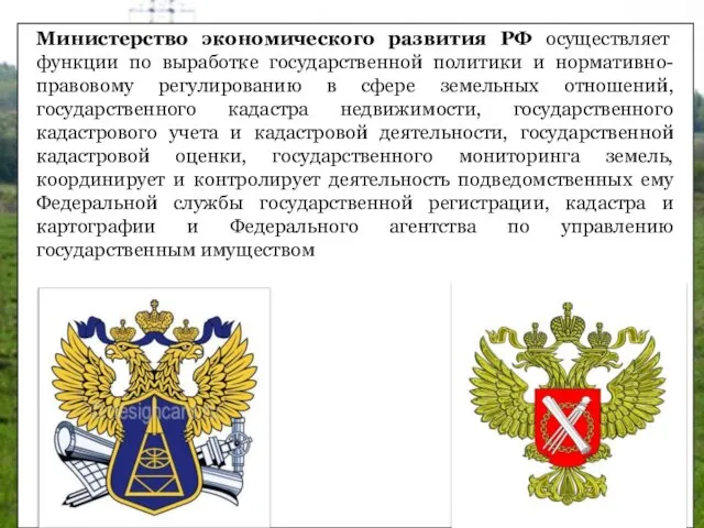 Министерство экономического развития РФ осуществляет функции по выработке государственной политики и