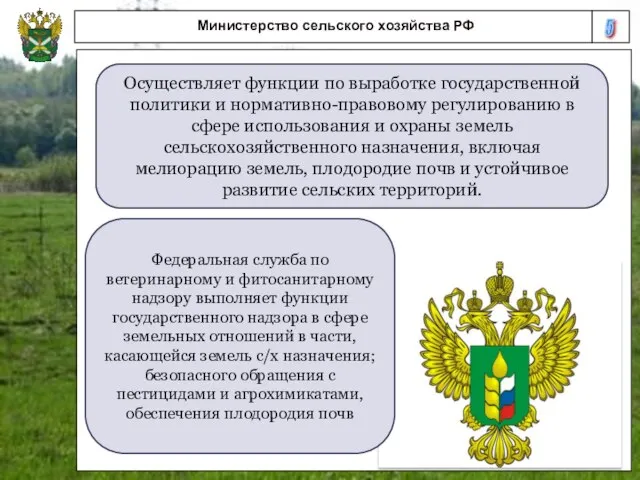 5 Министерство сельского хозяйства РФ Осуществляет функции по выработке государственной политики