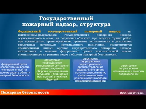 Государственный пожарный надзор, структура Федеральный государственный пожарный надзор, за исключением федерального