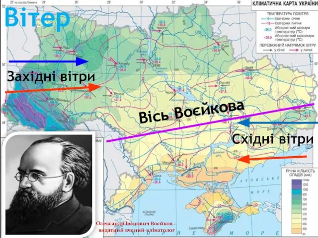 Східні вітри Вісь Воєйкова Західні вітри Вітер Олександр Іванович Воєйков – видатний вчений-кліматолог