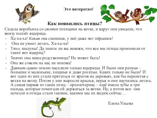 Это интересно! Как появились птицы? Сидела воробьиха со своими птенцами на