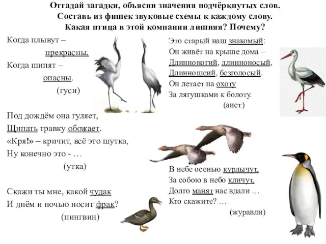 Отгадай загадки, объясни значения подчёркнутых слов. Составь из фишек звуковые схемы