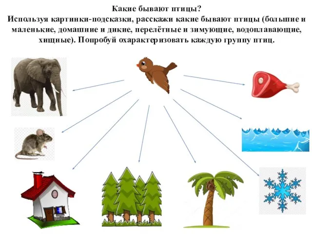 Какие бывают птицы? Используя картинки-подсказки, расскажи какие бывают птицы (большие и